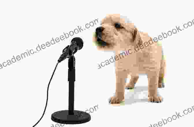 A Dog Howling Into A Microphone, Creating A Musical Performance Breed All About Us: Canine Expressions Of Art Voice