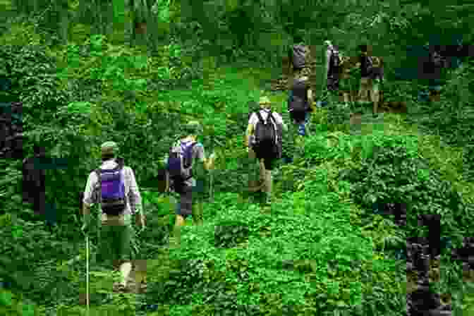 A Group Of People Hiking Through A Lush Green Forest Johnny No Home: Adventures Growing Up In An Italian Household