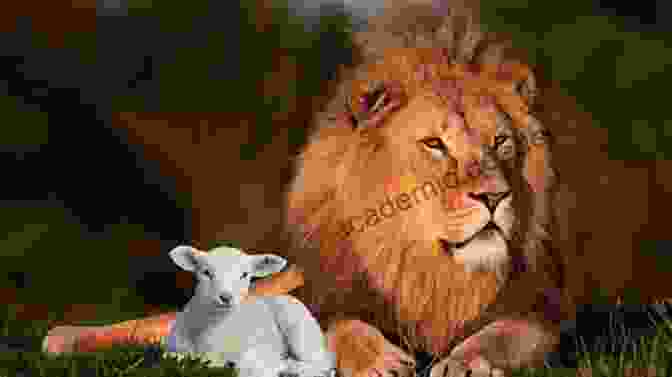 A Lion And A Lamb Cuddled Together In A Field Befriending The Beast (Tales Of Faith 1)