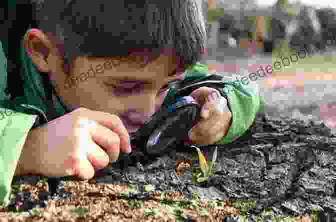 Children Exploring Nature With Magnifying Glasses The Old Farmer S Almanac For Kids Volume 6