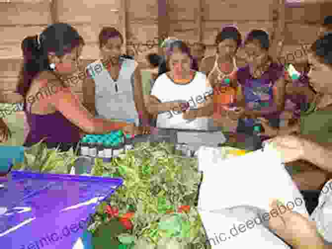 Eileen Small Working With Local Communities In Mexico Guardian Of Butterflies Eileen Small