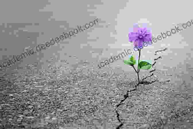 Image Of A Blooming Flower Emerging From Cracks In Concrete, Symbolizing Resilience And Growth After Loss The Art Of Loving Again: How To More Intelligently Start Again After A Breakup Divorce And The Death Of A Loved One