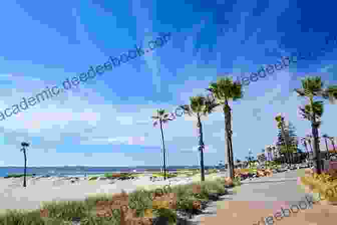 San Diego Is A Popular Tourist Destination Known For Its Beautiful Beaches And Mild Climate. California Travel Guide With 100 Landscape Photos