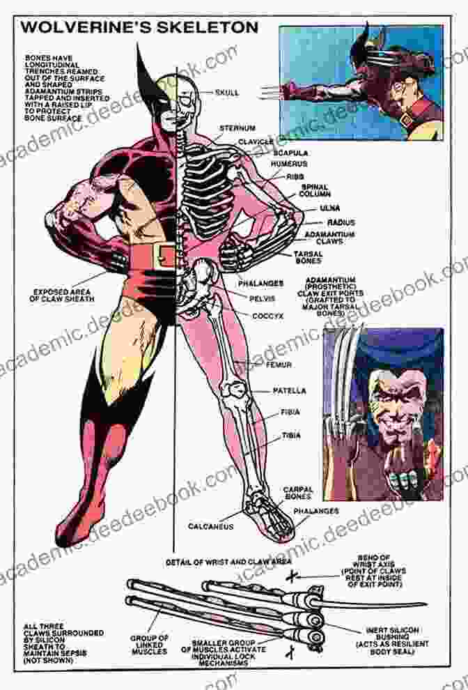 Wolverine, A Marvel Comics Character Known For His Adamantium Skeleton And Regenerative Abilities Spider Man: Attack Of The Heroes: A Mighty Marvel Chapter