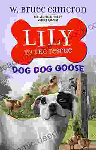 Lily to the Rescue: Dog Dog Goose (Lily to the Rescue 4)