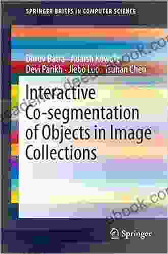 Interactive Co Segmentation Of Objects In Image Collections (SpringerBriefs In Computer Science)