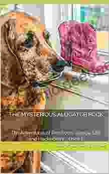 The Mysterious Alligator Rock (The Adventures Of Red Boots Georgie Lou And Huckleberry 1)