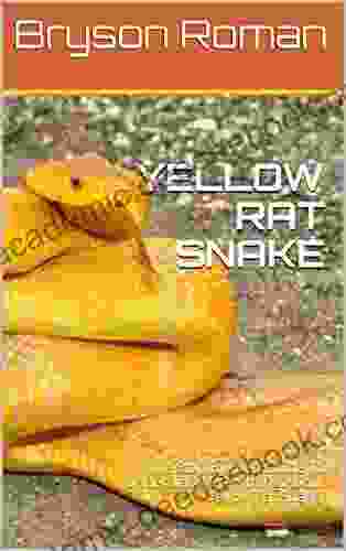 YELLOW RAT SNAKE: The Step By Step Guide To Understand Everything About Yellow Rat Snake