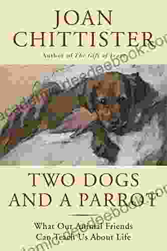 Two Dogs And A Parrot: What Our Animal Friends Can Teach Us About Life