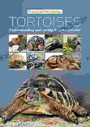 Tortoises: Understanding And Caring For Your Tortoise (Practical Pet 3)