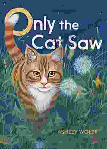 Only The Cat Saw Ashley Wolff