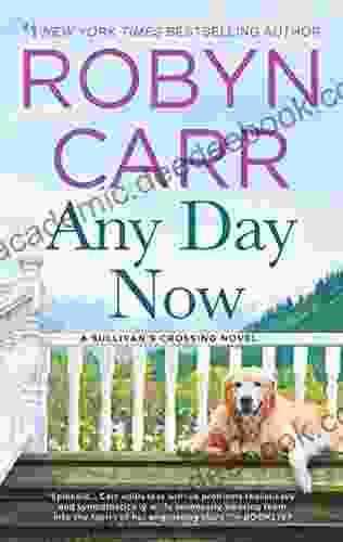 Any Day Now: A Novel (Sullivan s Crossing 2)